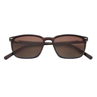 ক্যাট আই ট্রেন্ডি অ্যাসিটেট মহিলাদের সানগ্লাস